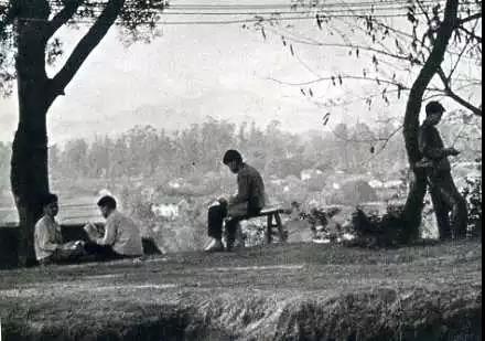 1617850018114667.jpg image