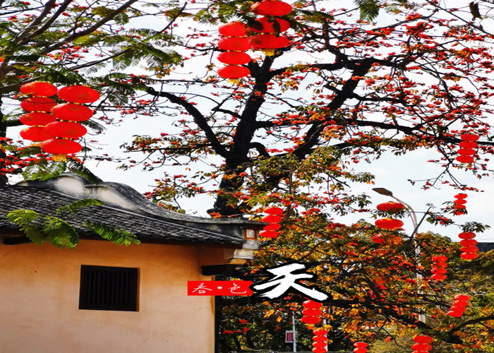 1616981201840059.jpg 8_副本.jpg