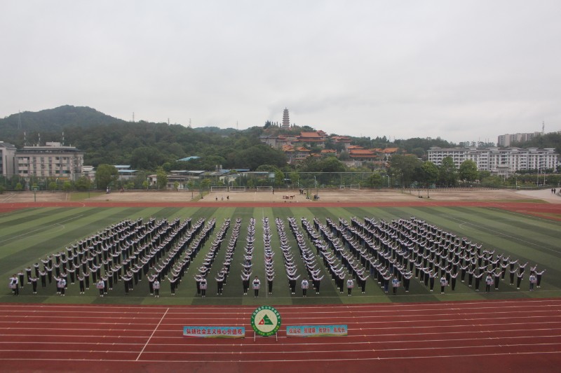 1635750052285117.jpg image