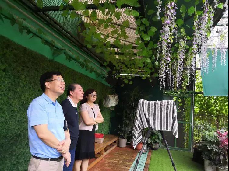 1560176049583679.jpg 1560176049583679.jpg