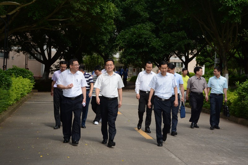 1557969558645579.jpg DSC_6887.jpg