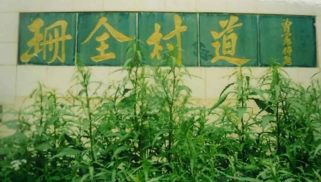 1615949705749945.jpg image