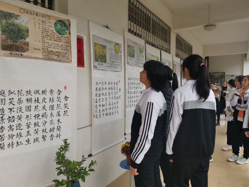 1640440536475544.jpg image