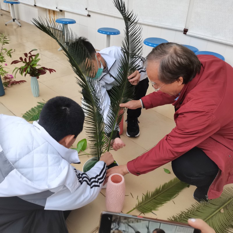 1640440198983580.jpg image